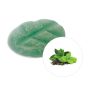Fondants Parfumés Green Tea XL