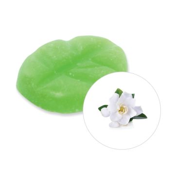 Gardenia Duftchips