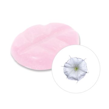 Moon Flower wax melts