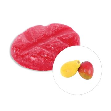 Mango Papaya wax melts