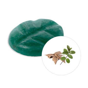Patchouli & Oudh wax melts