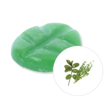 Patchouli & Thyme wax melts