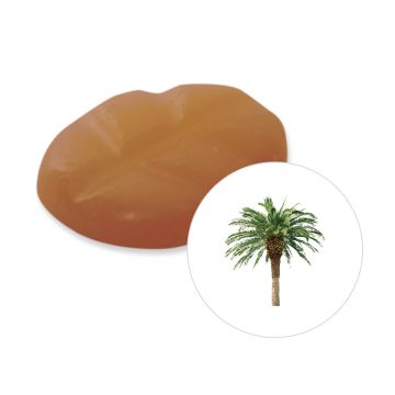 Tropical Wood wax melts