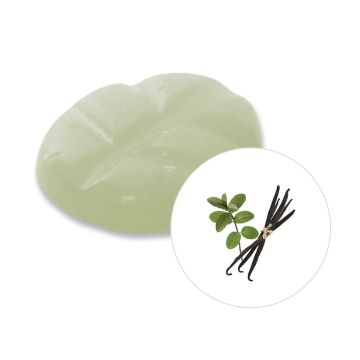 Vanilla Patchouli wax melts